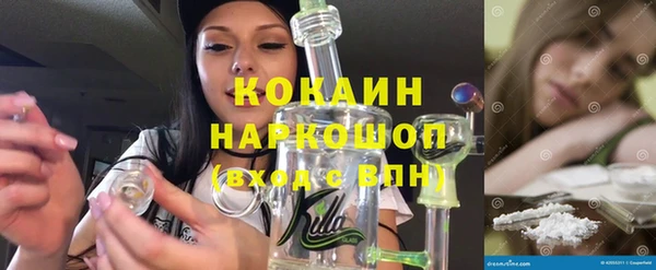 ПСИЛОЦИБИНОВЫЕ ГРИБЫ Арсеньев