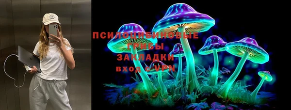 ПСИЛОЦИБИНОВЫЕ ГРИБЫ Арсеньев