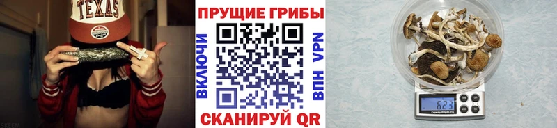 хочу наркоту  Луховицы  Псилоцибиновые грибы прущие грибы 