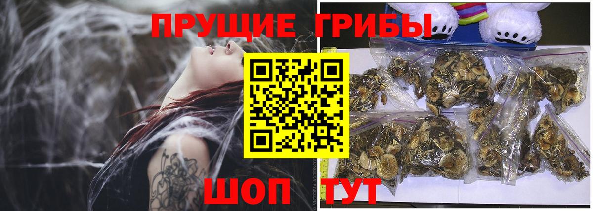 Галлюциногенные грибы прущие грибы Луховицы