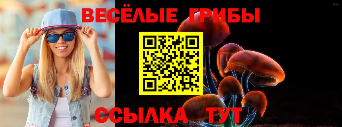 закладка  Луховицы  Псилоцибиновые грибы GOLDEN TEACHER  Галлюциногенные грибы прущие грибы 